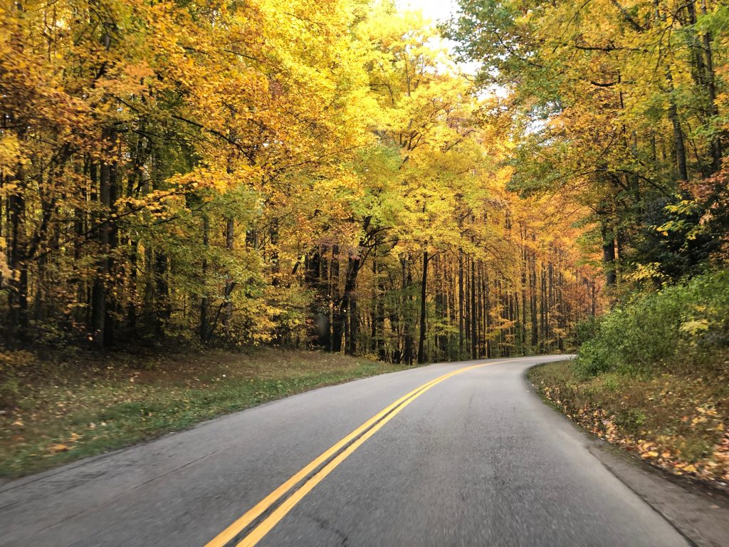 Driving to Clingmans Dome in the Fall