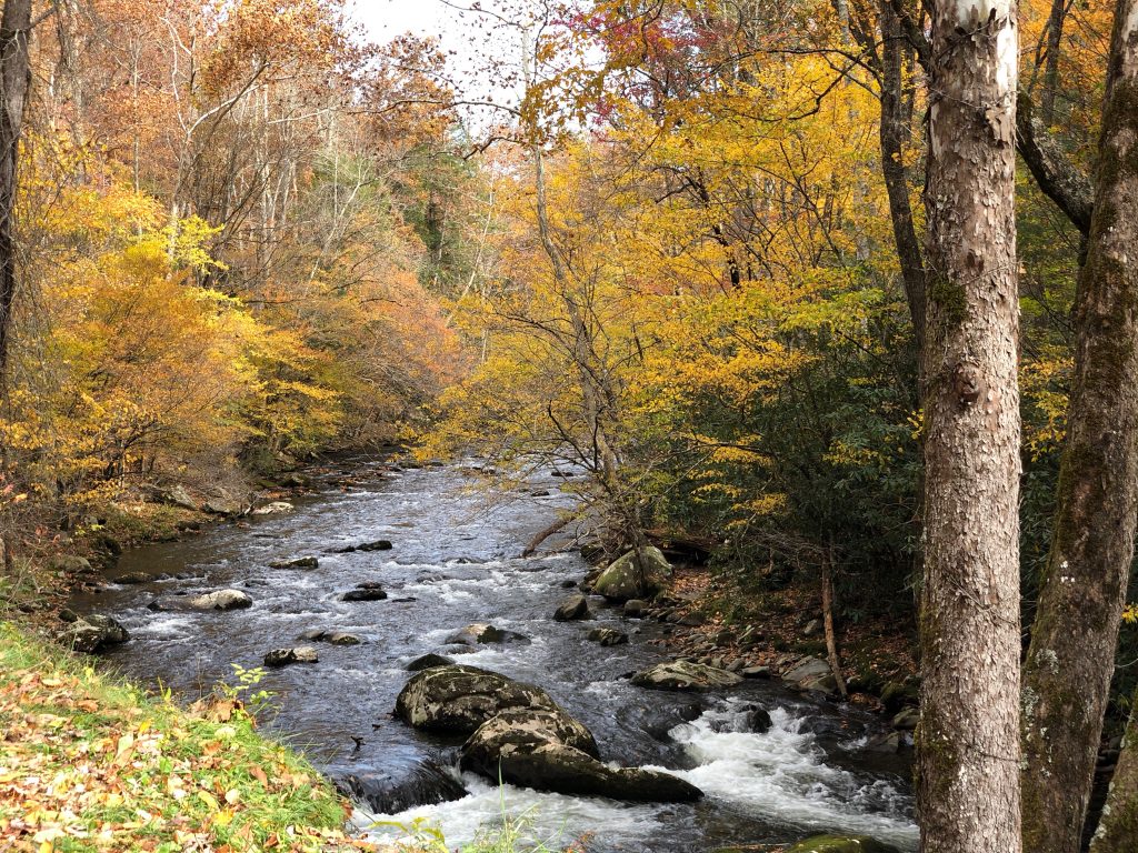 scenic drives in the smoky mountains along the Little River