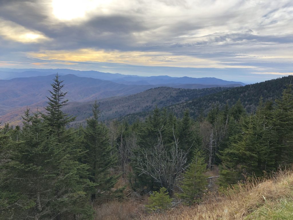 Clingmans Dome View on the Way Up