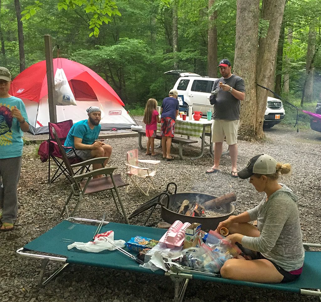 Elkmont Campground Smoky Mountains Campsite