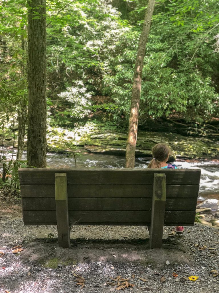 Deep Creek Waterfalls Bench