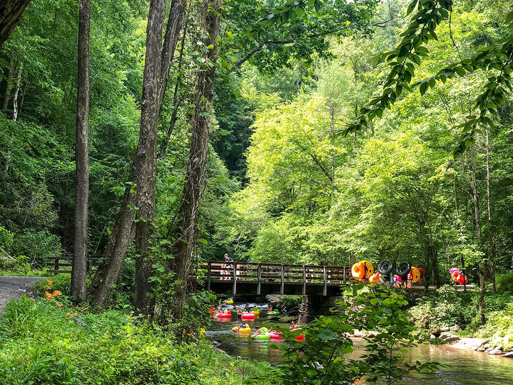 Bridge on Deep Creek Waterfalls Hike