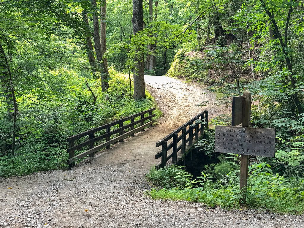 Bridge on the Deep Creek Waterfalls Hike