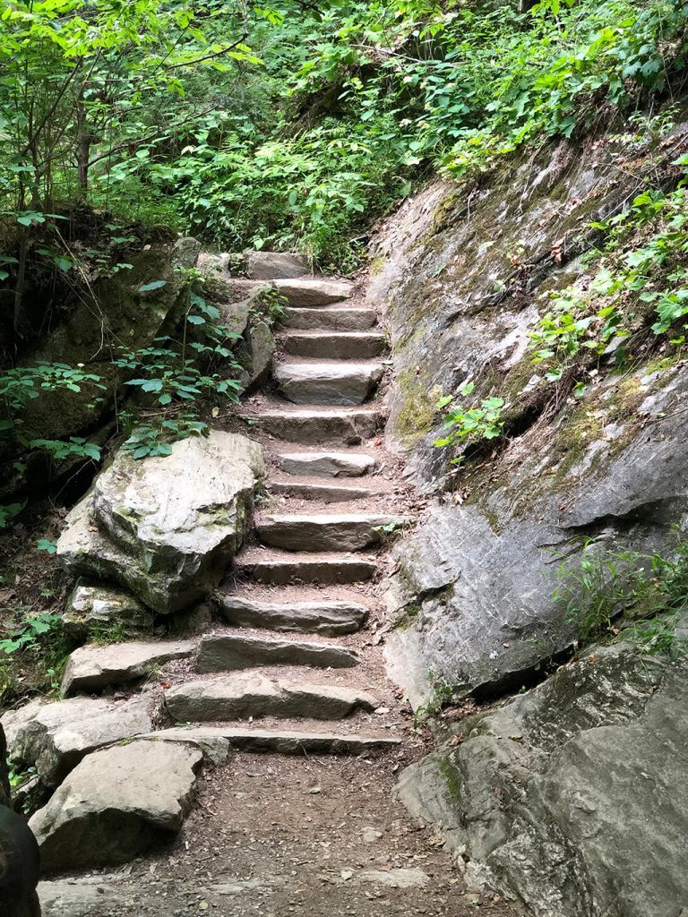 Steps near Juney Whank Falls on the Deep Creek Waterfalls Hike
