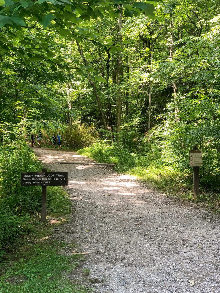 Deep Creek Waterfalls Juney Whank Trailhead