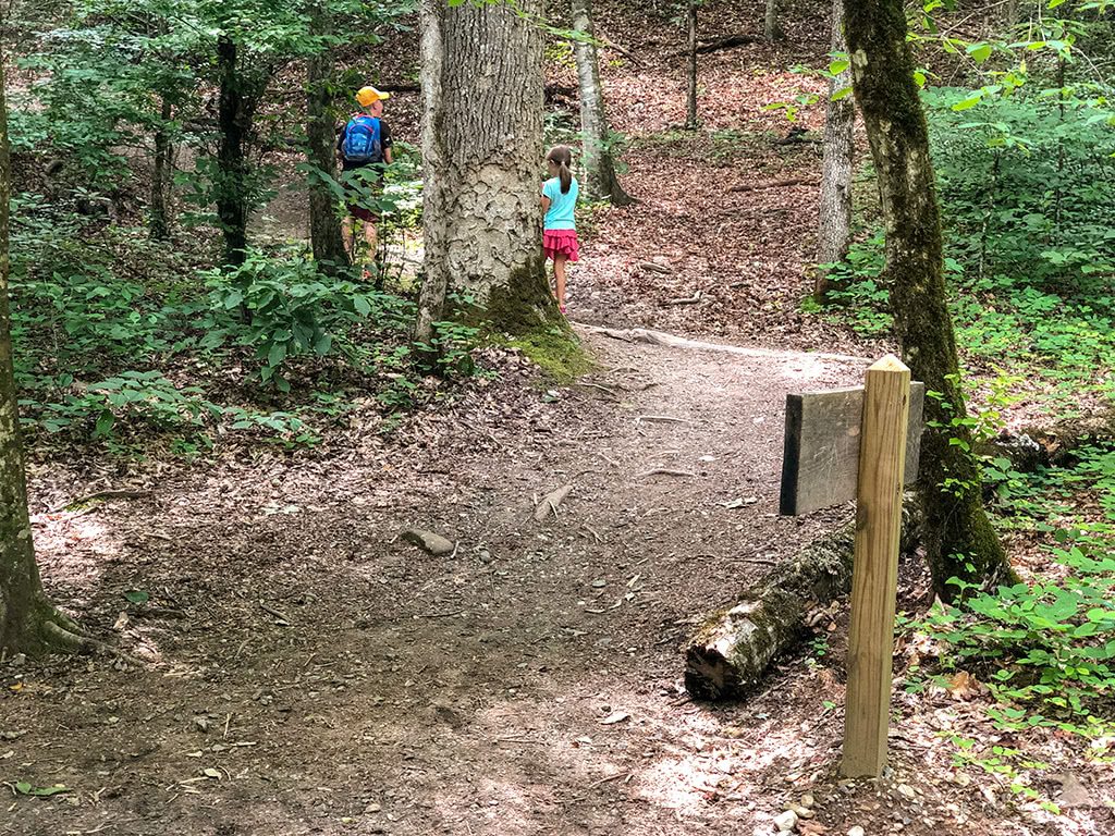 Hiking up to Juney Whank Falls on the Deep Creek Waterfalls Hike