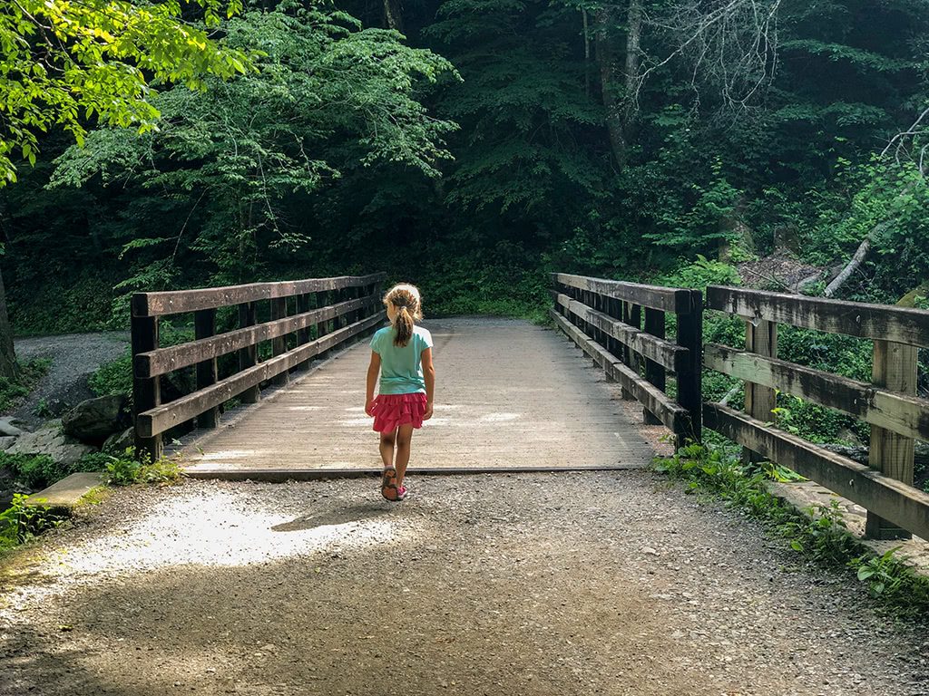 Bridge on Deep Creek Waterfalls Hike