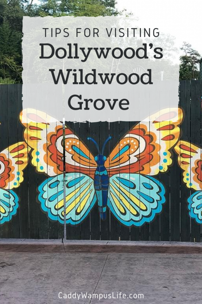 Dollywood Wildwood Grove Pinterest