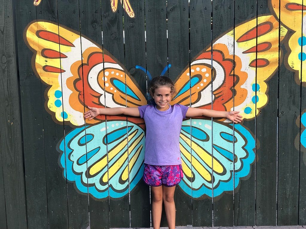 Maggie's Butterfly picture at Till & Harvest Restaurant at Dollywood Wildwood Grove