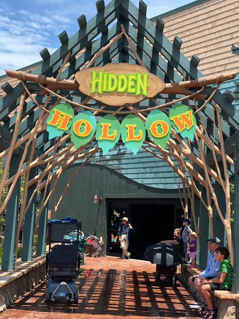 Hidden Hollow at Dollywood Wildwood Grove