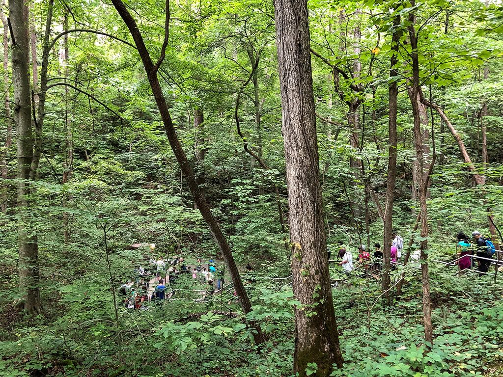 Mammoth Cave National Park Tour Walking Down