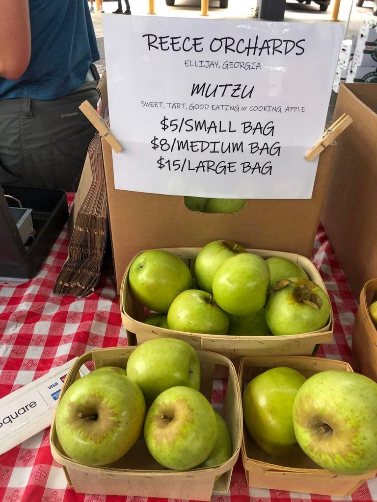 Fun Things to Do in Chattanooga Market Apples