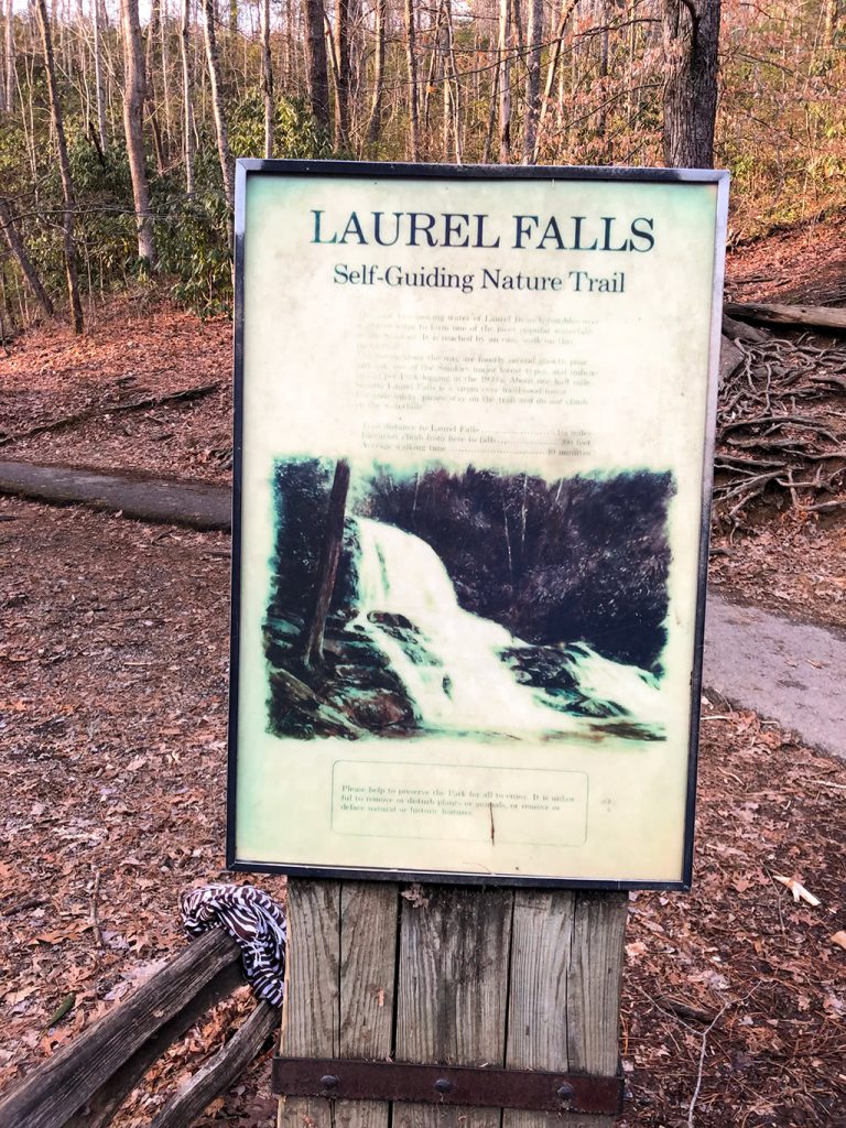 Laurel Falls Nature Trail
