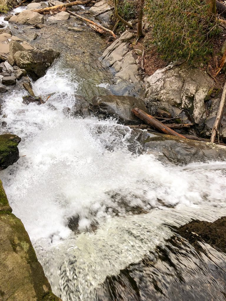 Lower Cascades on Laurel Falls Trail