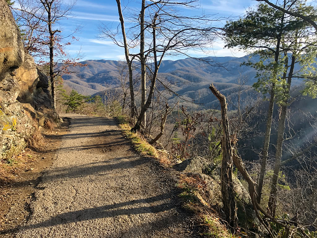 Beautiful View on the Laurel Falls Trail