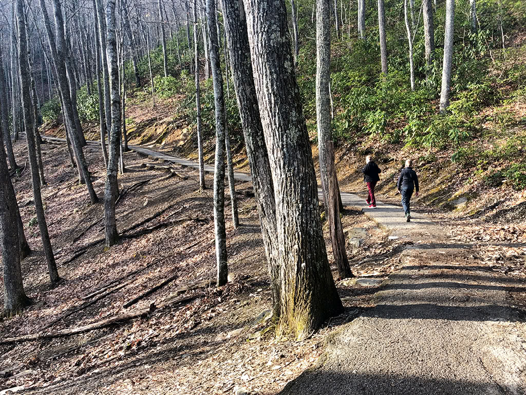 Laurel Falls Trail is a Paved trail