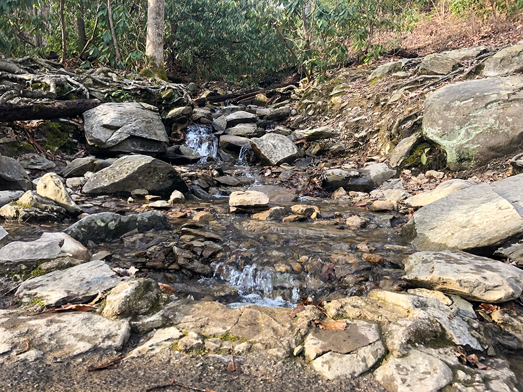 Laurel Falls Branch on the Laurel Falls Trail