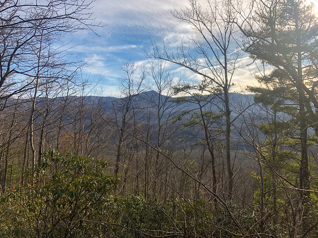 View from Laurel Falls Trail