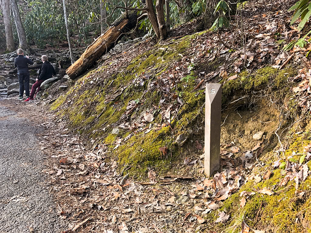 Trail Markers on Laurel Falls Trail