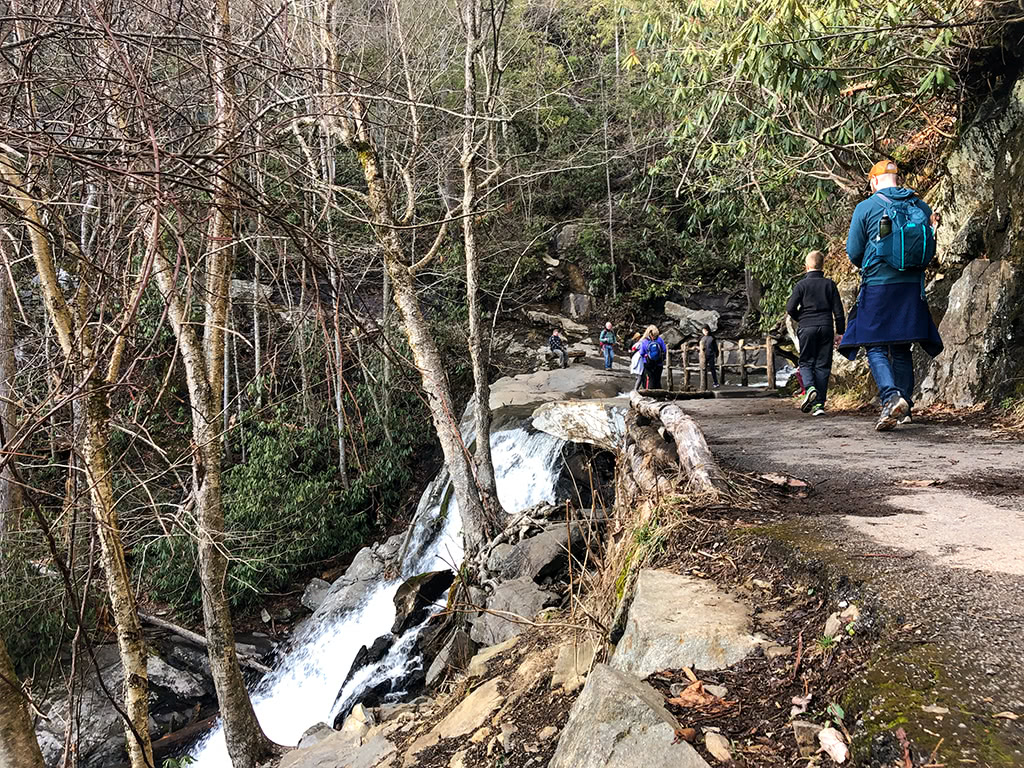 At Laurel Falls