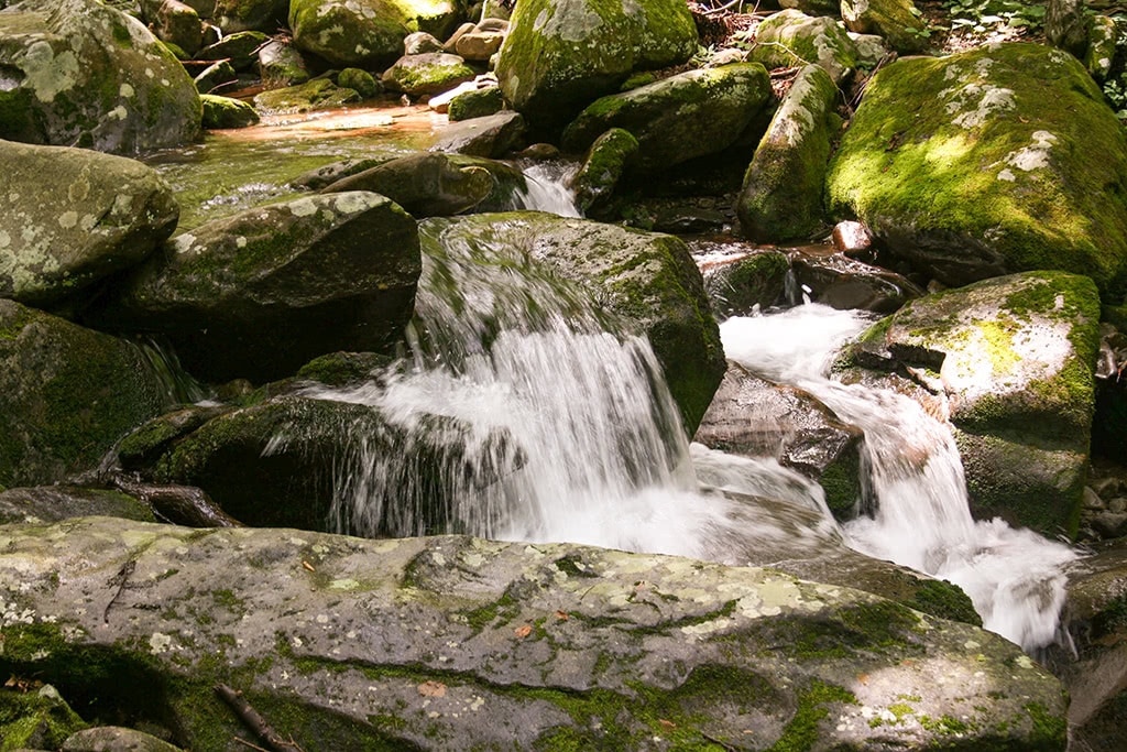 The Roaring Fork is one of the most scenic drives in the smoky mountains