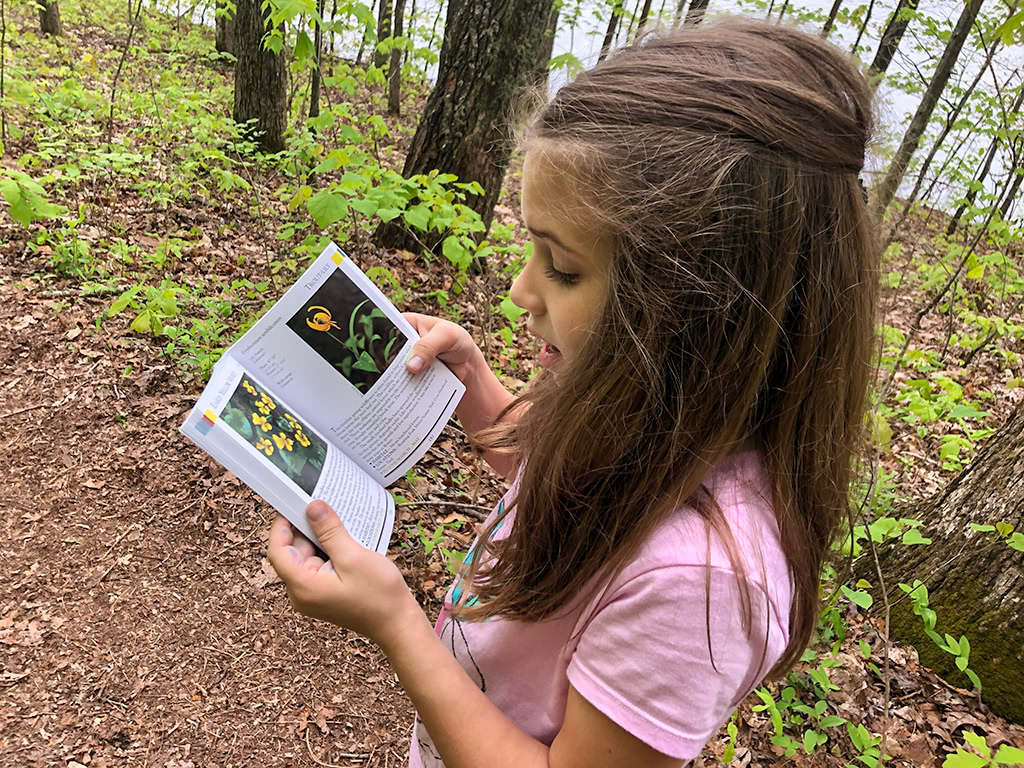 Great Smoky Mountains books are fun for exploring