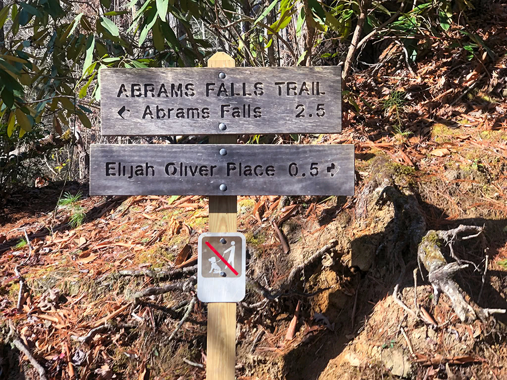 Abrams Falls Trail - Cross the Bridge - go Left to Abrams Falls_