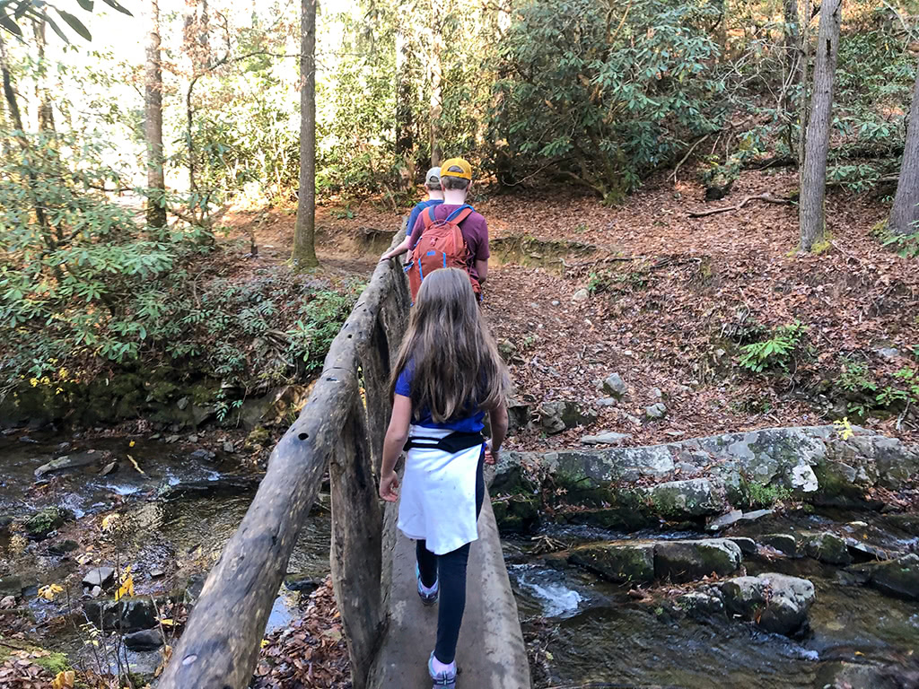 Abrams Falls Trail - Footbridges