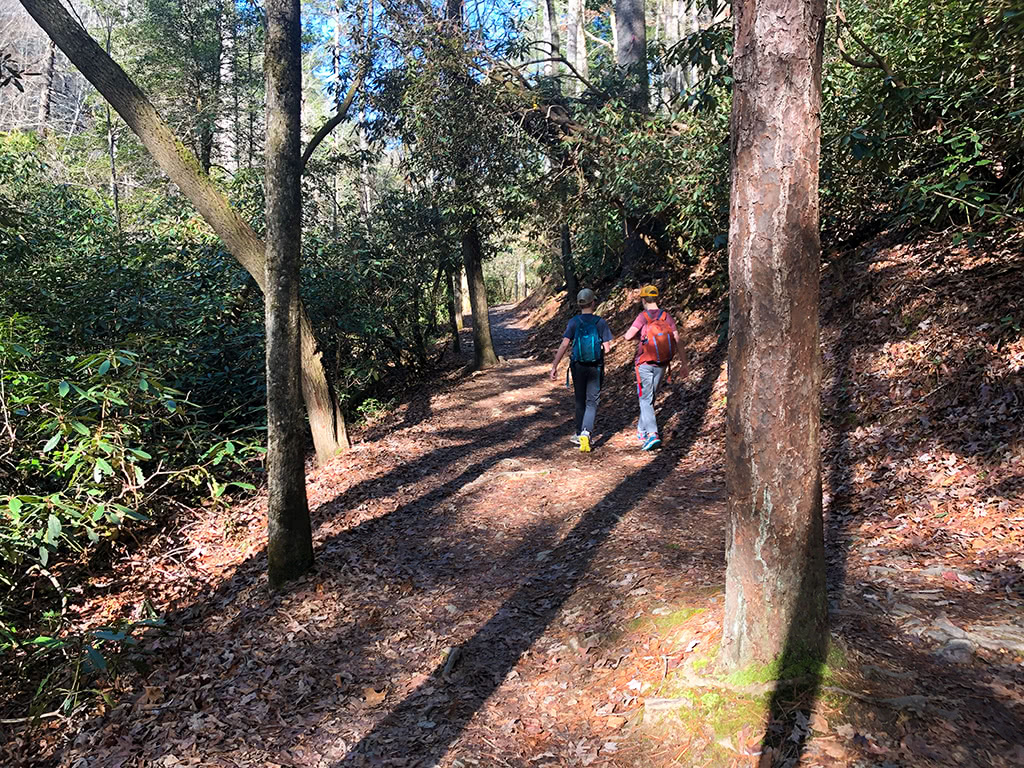 Abrams Falls Trail - Relatively Flat First Part