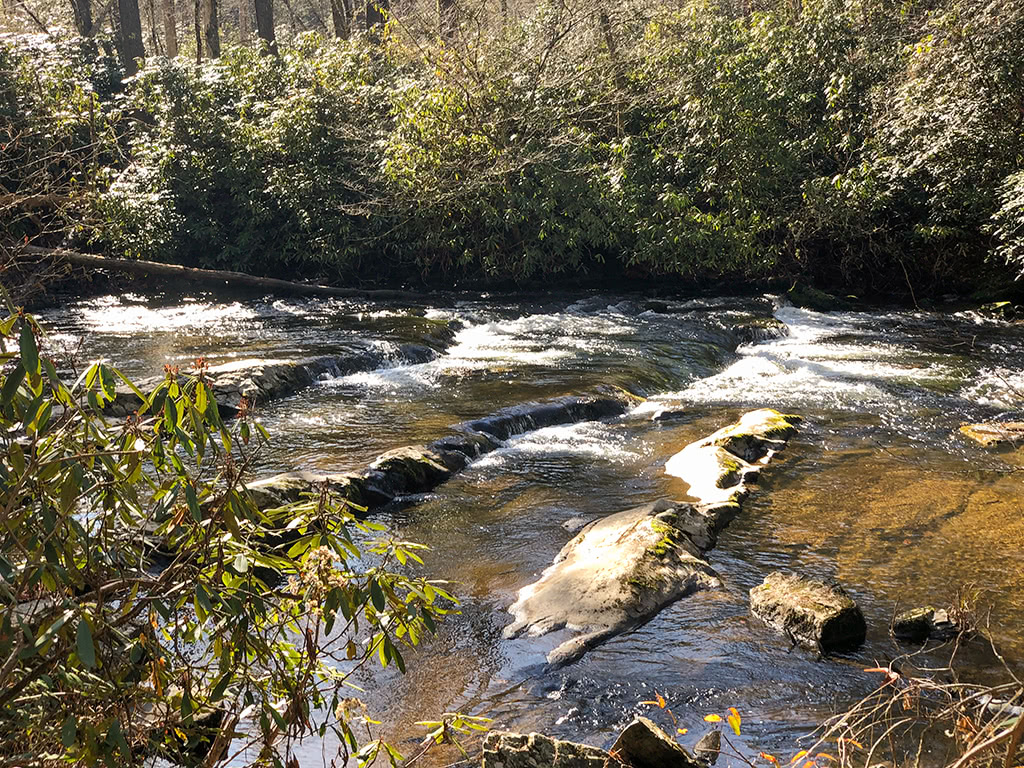 Abrams Falls Trail - Walks along the creek