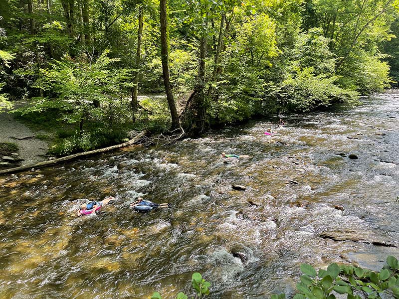 Metcalf Bottoms Picnic Area River