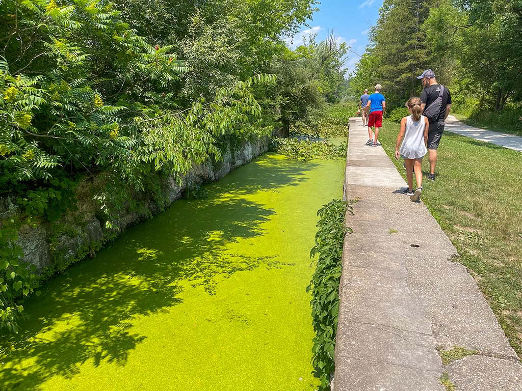 Road Trip to Niagara Falls Cuyahoga Marsh