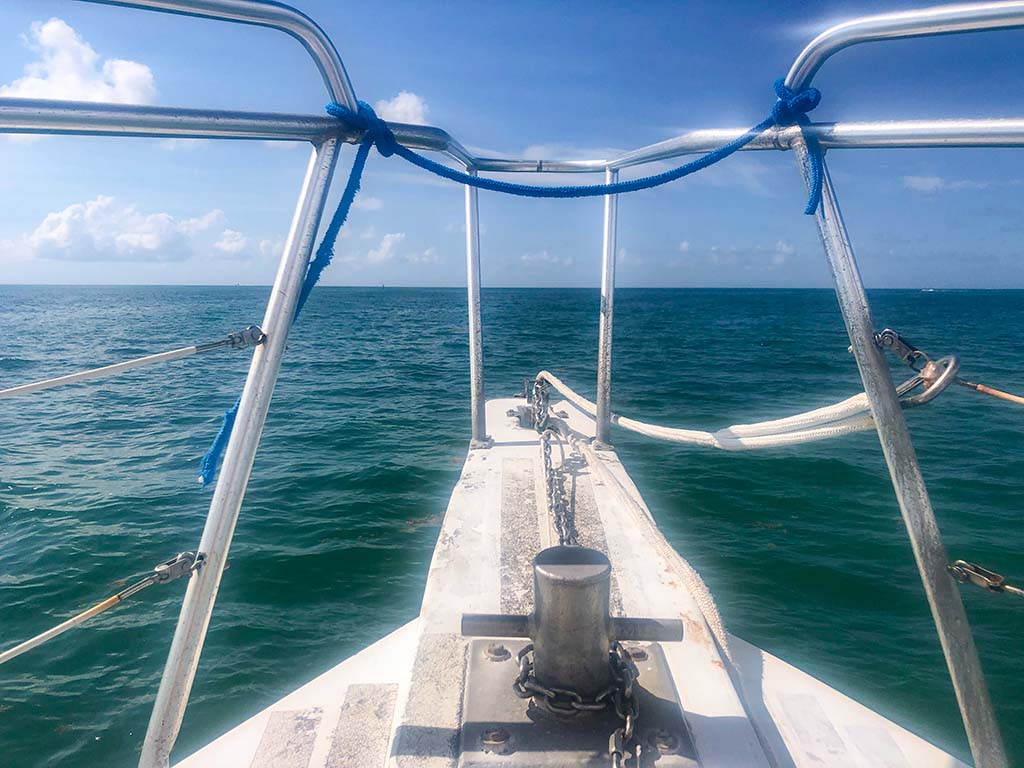 Snorkeling boat ride