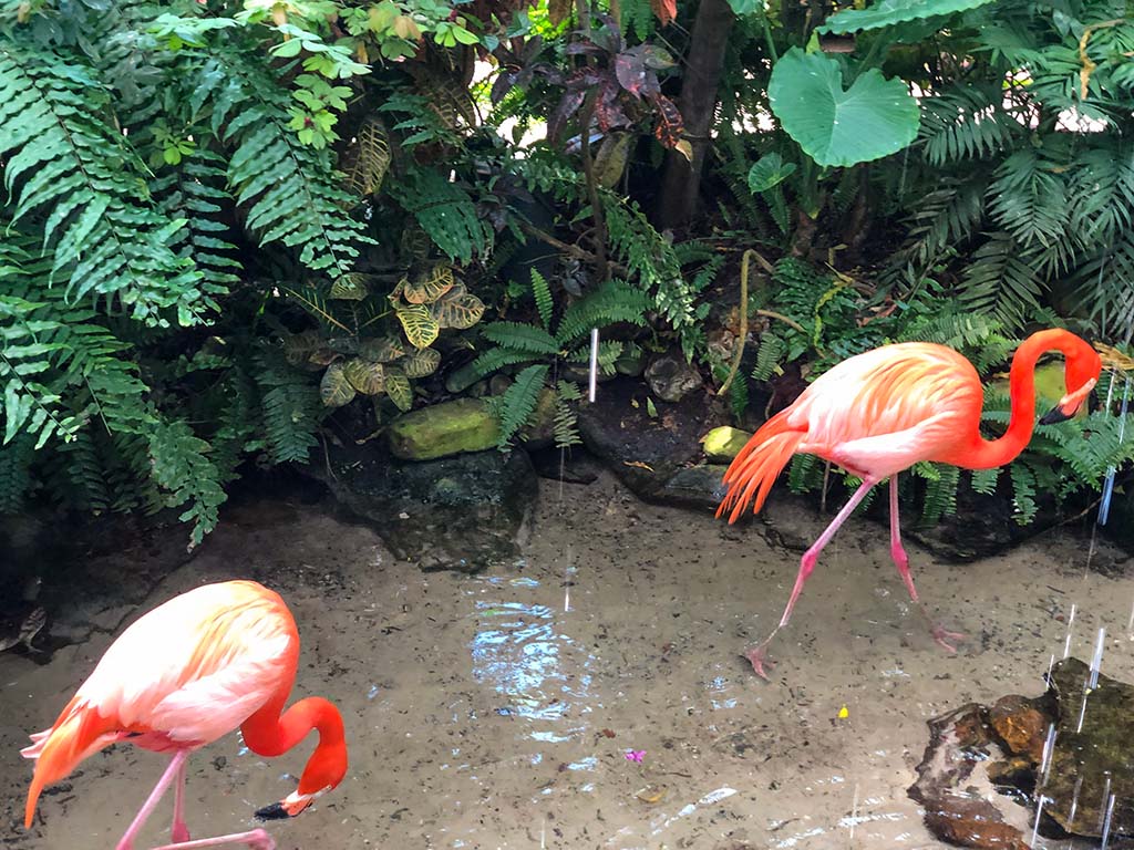 Things to do in the Florida Keys with Kids Butterfly Museum