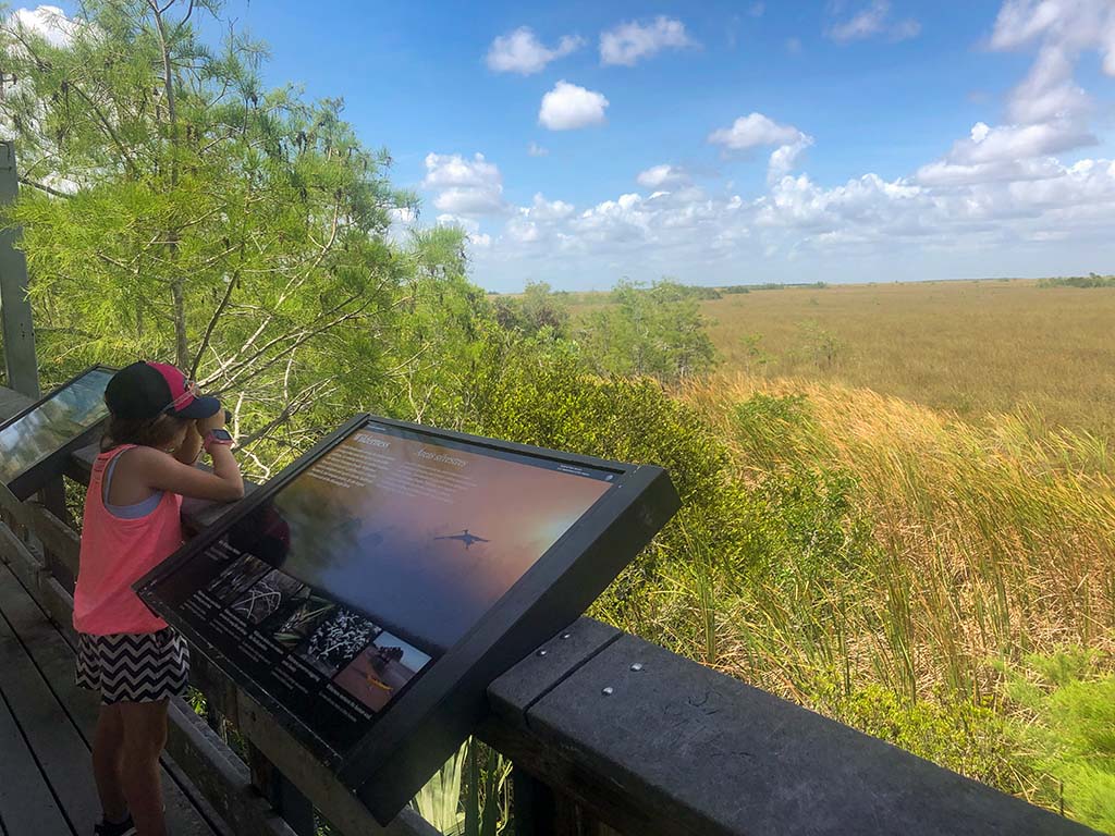 Things to do in the Florida Keys with Kids Everglades