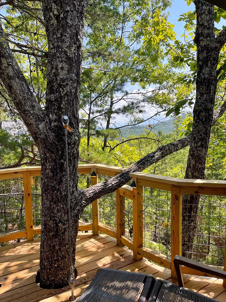 Tree On Porch at Treehouse Grove Gatlinburg