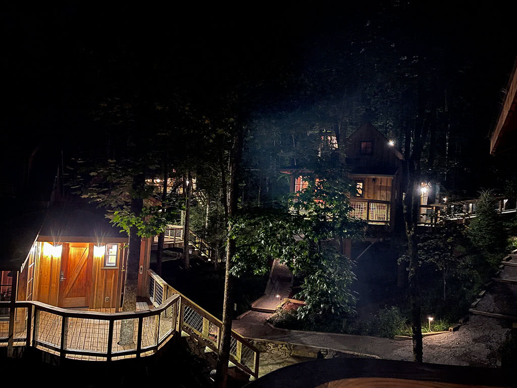 Treehouse Grove Night View