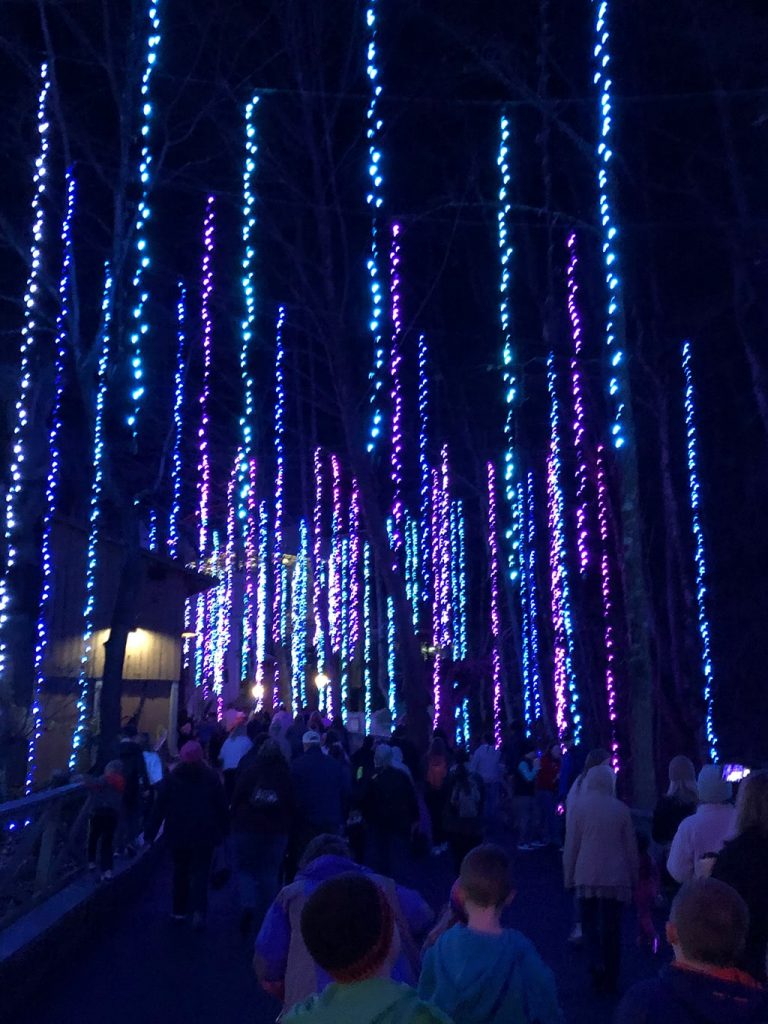 Dollywood Christmas Falling Lights