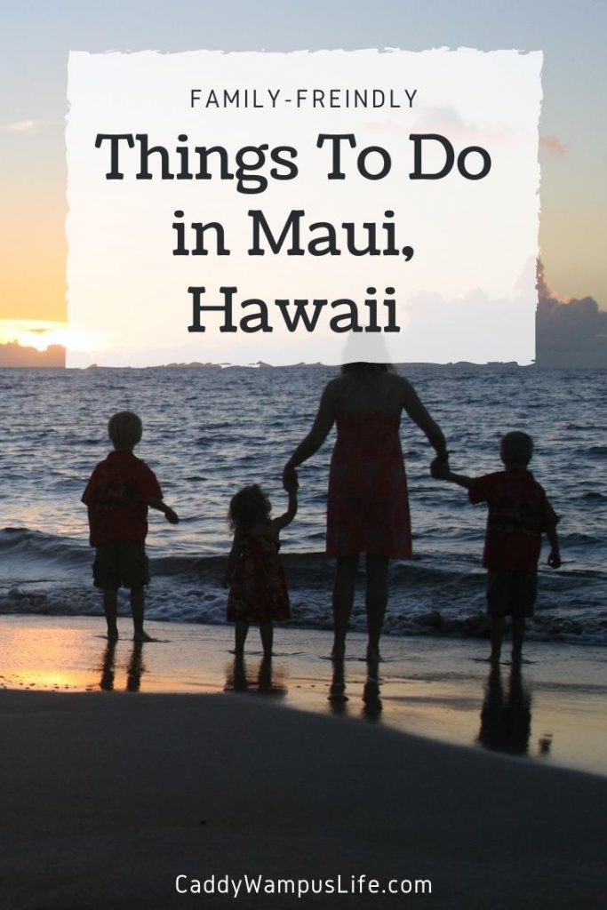 Things to Do Maui Hawaii Pinterest