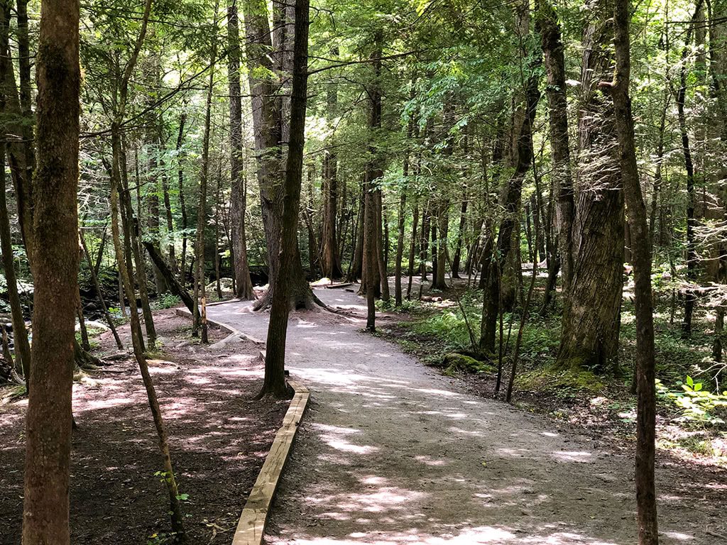 Trail to Cataract Falls Smoky Mountains