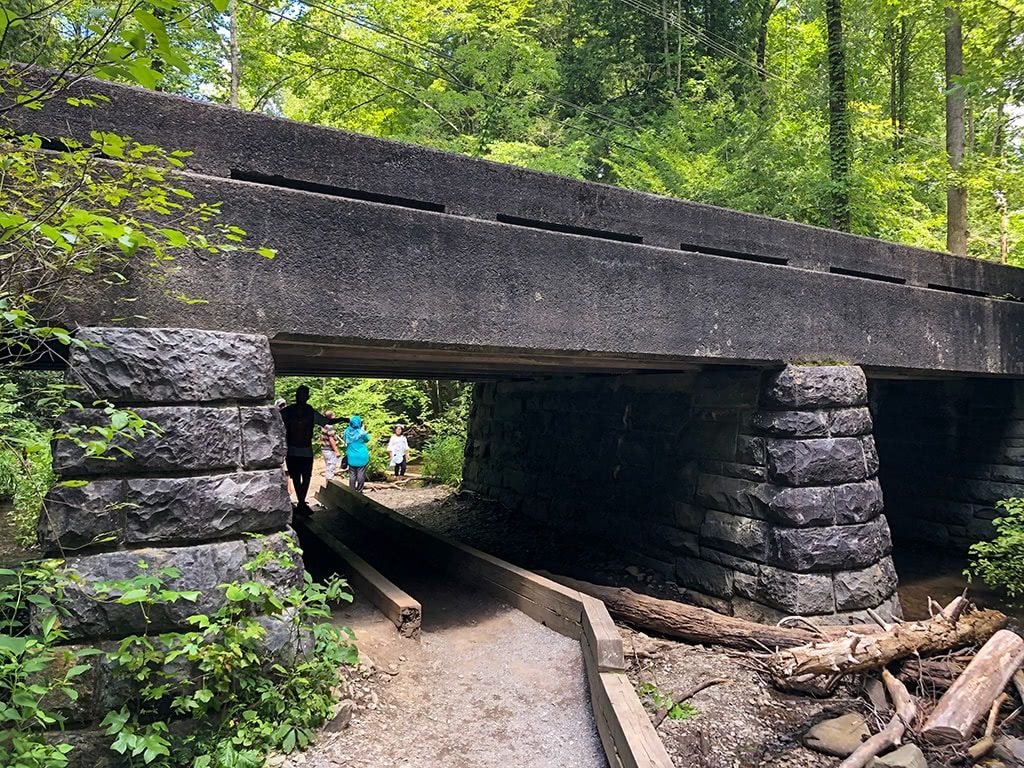 Bridge on the Cataract Falls Smoky Mountains Trail