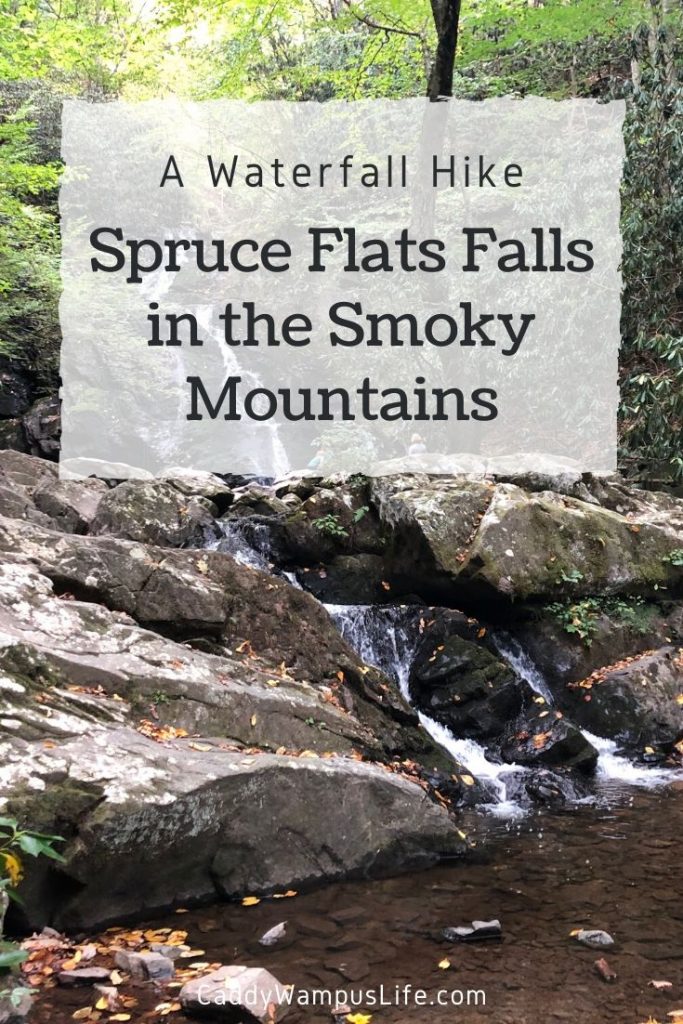 Spruce Flats Falls Smoky Mountains Pinterest