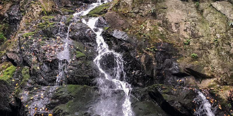 Spruce Flats Falls in with Low Waterflow