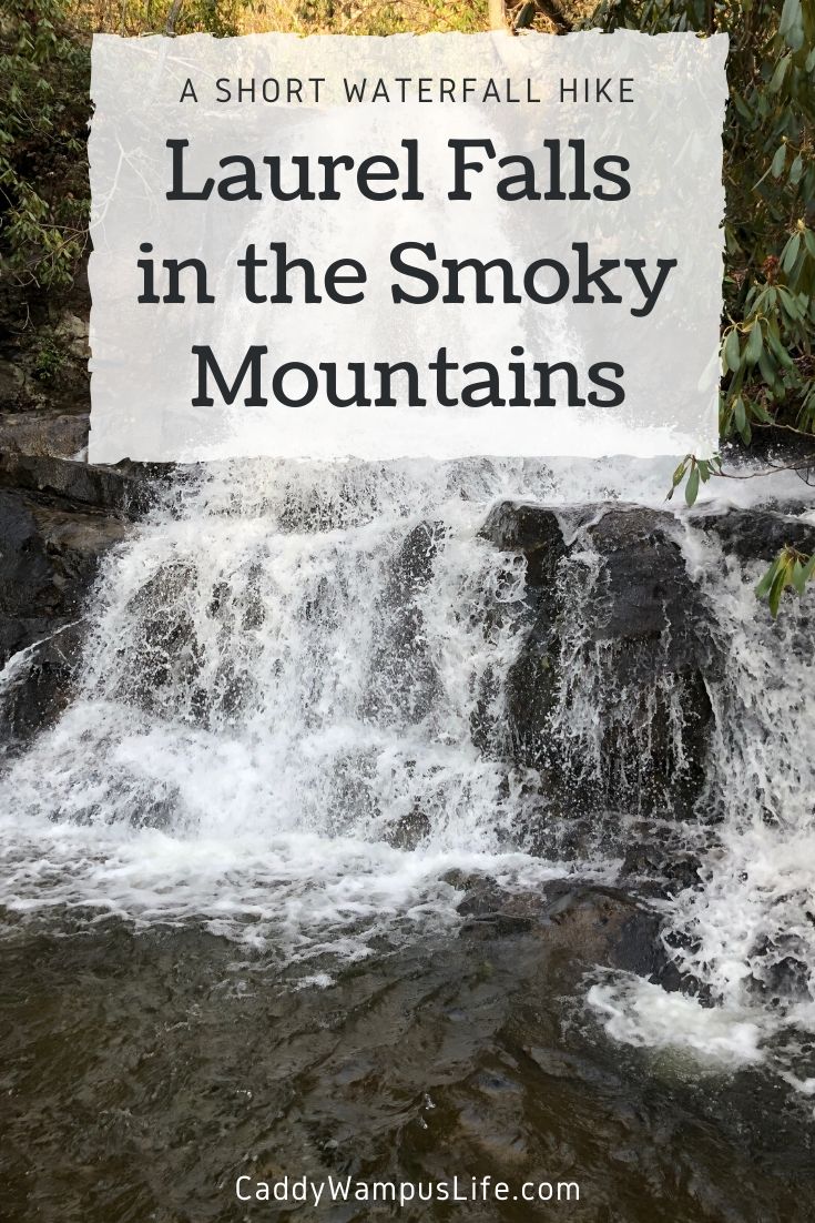 Laurel Falls Trail - Hike to Laurel Falls in the Great Smoky Mountains ...