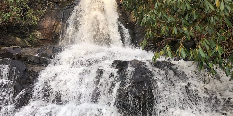 scenic drives in the smoky mountains Hike Option to Laurel Falls