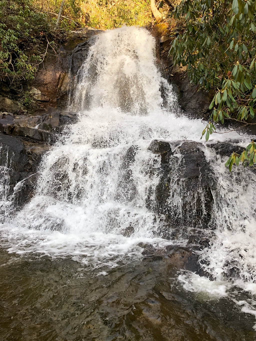 Laurel Falls Trail - Hike to Laurel Falls in the Great Smoky Mountains ...