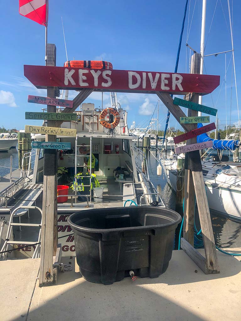 Things to do in the Florida Keys with Kids Snorkel